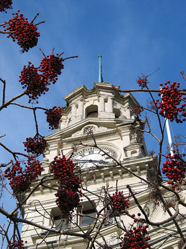 Auckland Town Hall, Aotea Square, Auckland, New Zealand