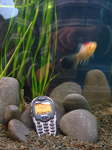 Реклама Vodafone с элементами автопортрета :), Microsoft Tech-Ed 2002, Auckland, New Zealand