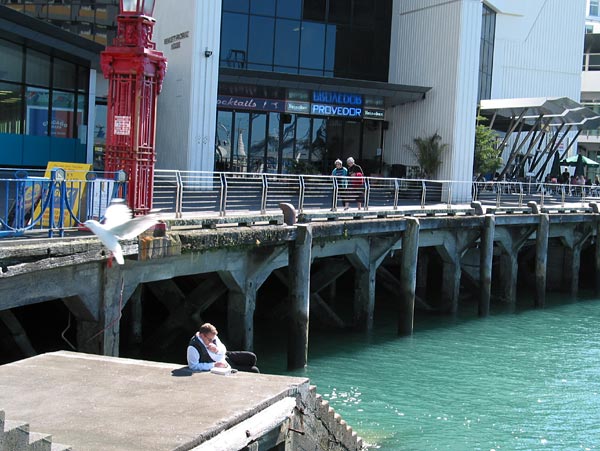 Отдых у моря, Auckland, New Zealand