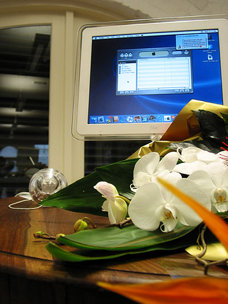 iMac, Auckland, New Zealand