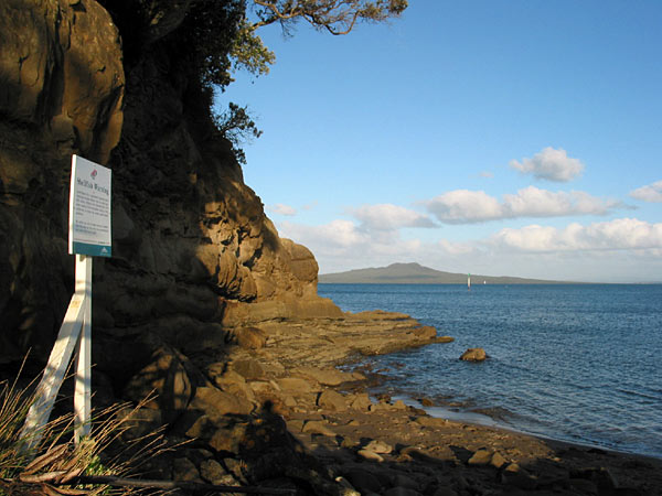 Shellfish warning, Rahopara Point, Castor Bay, Auckland, New Zealand