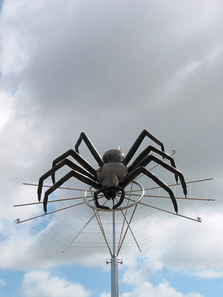 Avondale Spiders, Avondale, Auckland, New Zealand