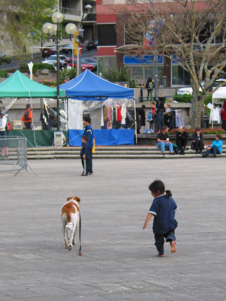Беглец, Aotea Sq, Auckland, New Zealand