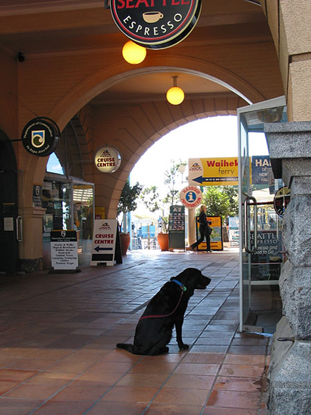 Ferry Building, Auckland City, New Zealand