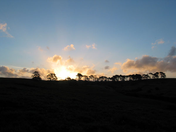 Закат на Long  Bay beach, Auckland, New Zealand