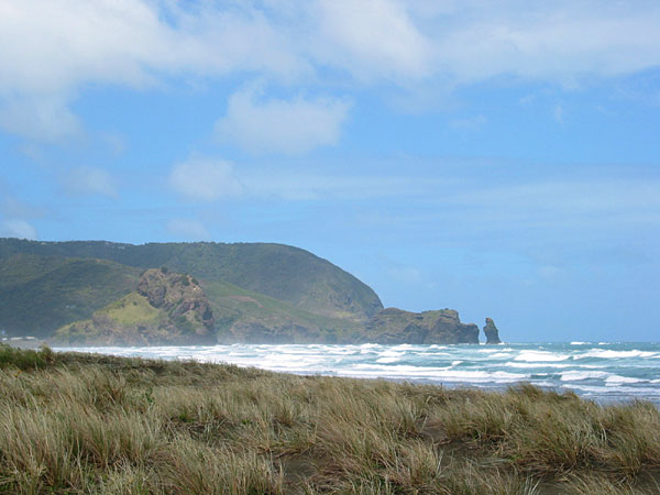 Piha Beach, Auckland, New Zealand