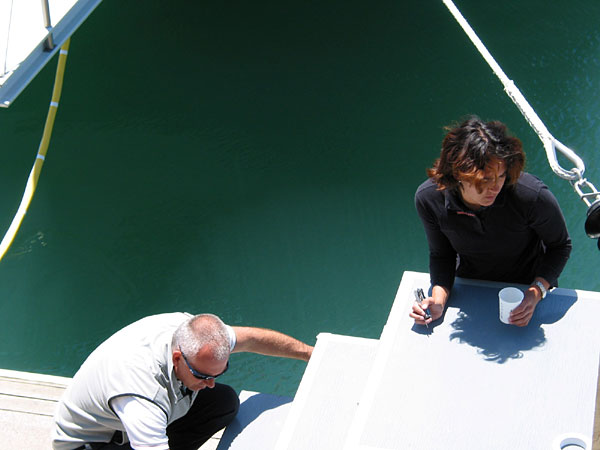 У самого зеленого моря..., America's Cup Village, Auckland, New Zealand