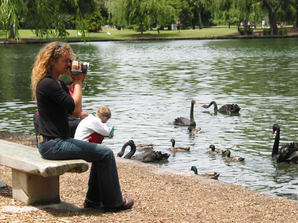 Western Springs, Auckland, New Zealand