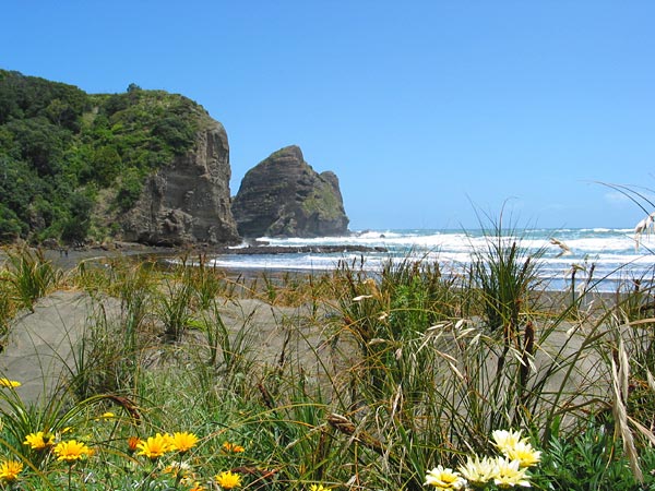 Piha Beach, Auckland, New Zealand
