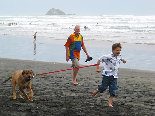 Muriwai Beach, Auckland, New Zealand