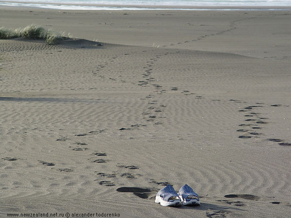 Karekare beach, Auckland, New Zealand