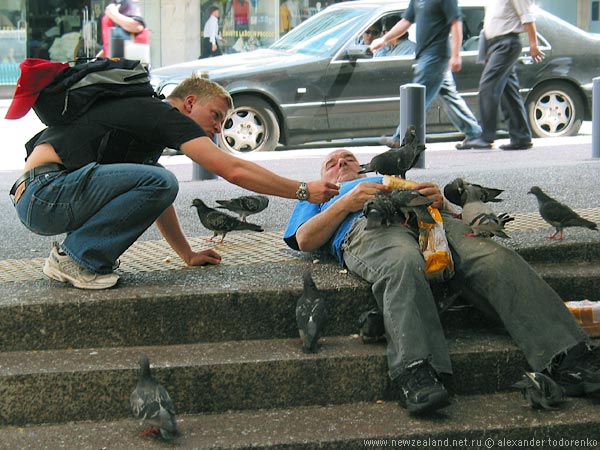 У людей наступил период ухаживания за голубями, Queen St, Auckland, New Zealand