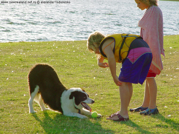 Поиграй со мной, Lake Pupuke, Auckland, New Zealand