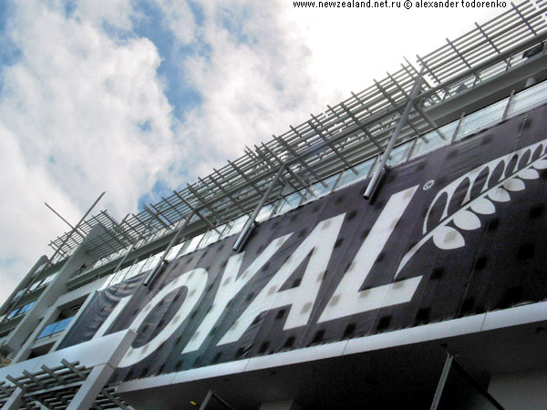 Loyal, Auckland, New Zealand