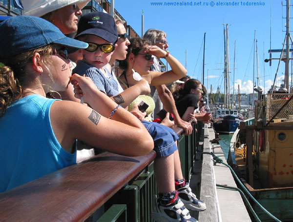 Болельщики регаты America's Cup ждут возвращения яхт, America's Cup Village, Auckland, New Zealand