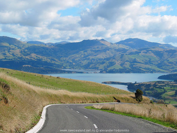 Akaroa Harbour, South Island, New Zealand