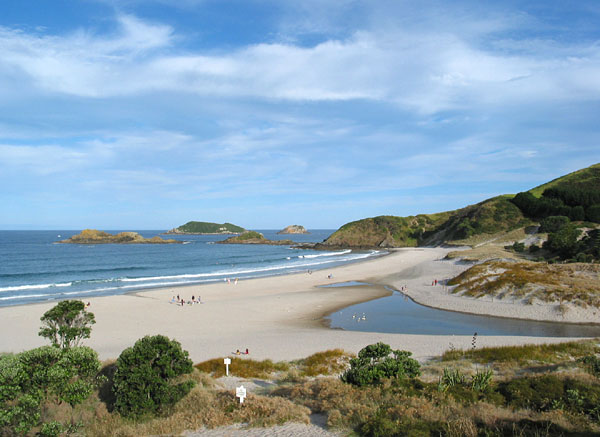 East Coast. Bream Head Scenic Res. Ocean Beach, Whangarei, New Zealand