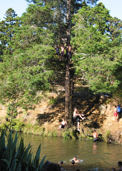 Кто сказал, что киви не летают?, Whangarei Falls, New Zealand