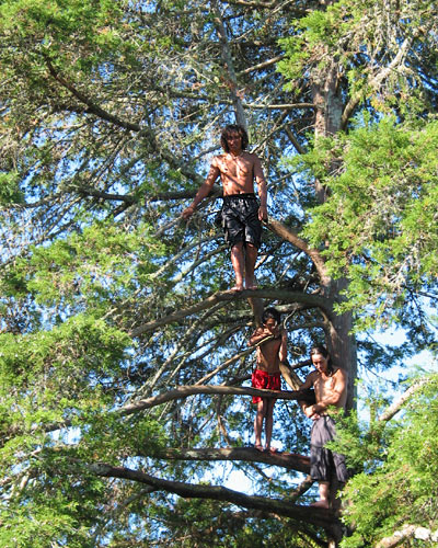 Здесь все просто, залез на дерево, прыгнул вниз, Whangarei Falls, New Zealand