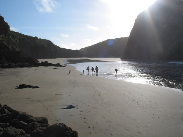 Piha, Auckland, New Zealand