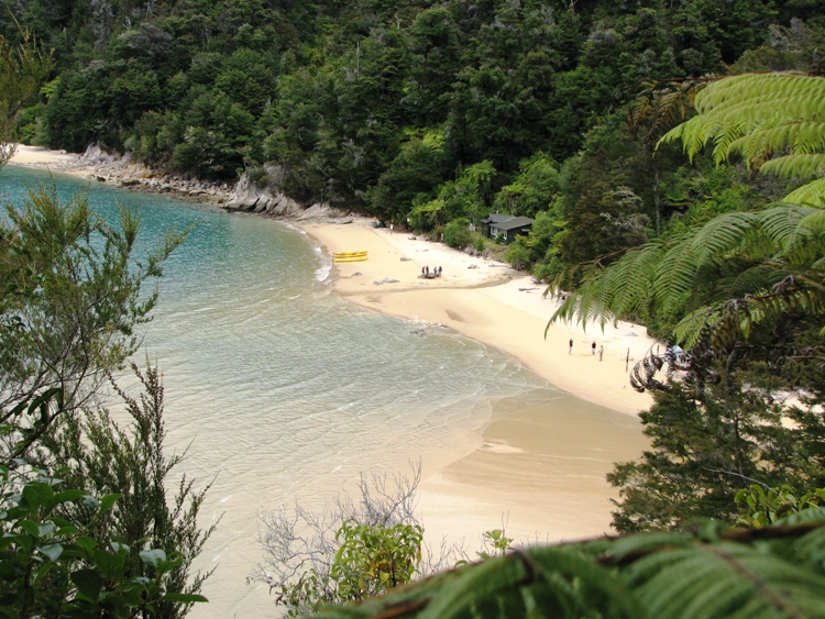Abel Tasman National Park, South Island, New Zealand