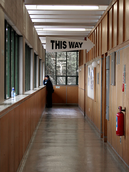 This Way. Оклендский Университет, Auckland, New Zealand