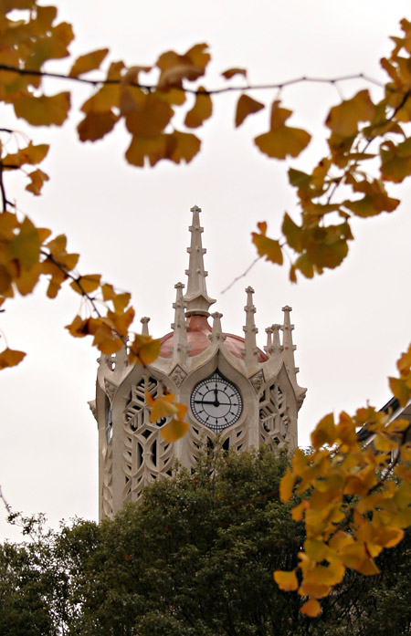 Clock Tower. Главный корпус Оклендского Университета, Auckland, New Zealand