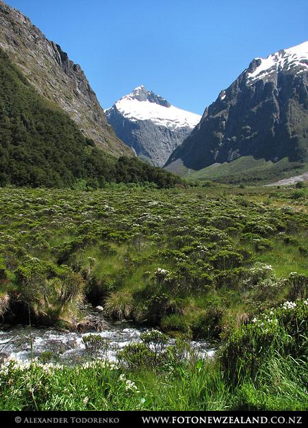Fiordland National Park, South Island, New Zealand
