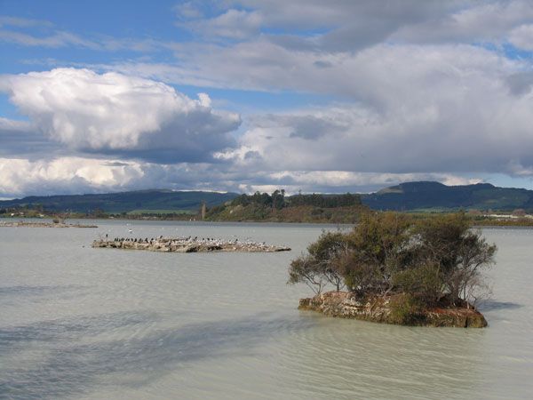 Молочные воды озера Роторуа, Rotorua, New Zealand