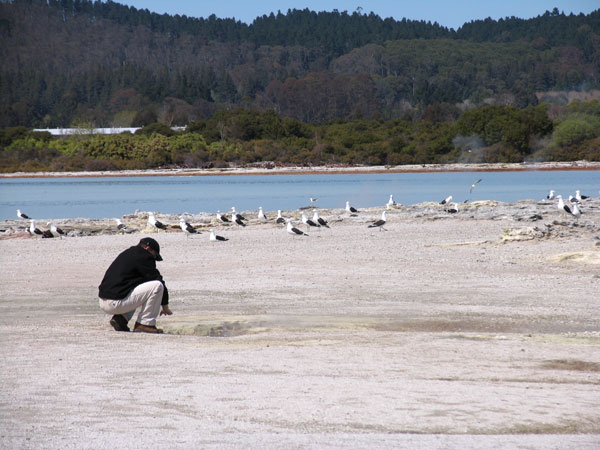 В земле дыра, в дыре горячая вода, Rotorua, New Zealand