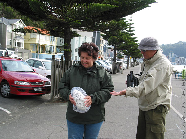 Па энд Ма ин Веллингтон. В столице то есть, Wellington, New Zealand