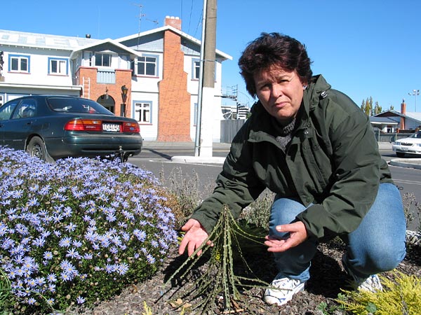 На Южном Острове люди ходят вниз головами, а цветы растут вверх ногами, Spring Creek, New Zealand