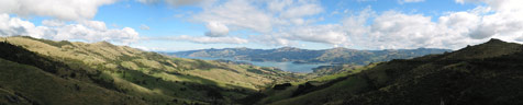 Бухта Акароа (Akaroa Harbour), Южный Остров