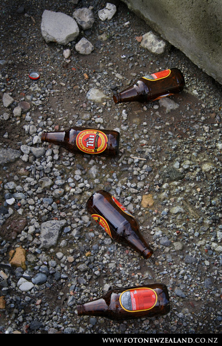 Пиво Туй (б/у). Местную птичку так зовут - Туй, Auckland, New Zealand