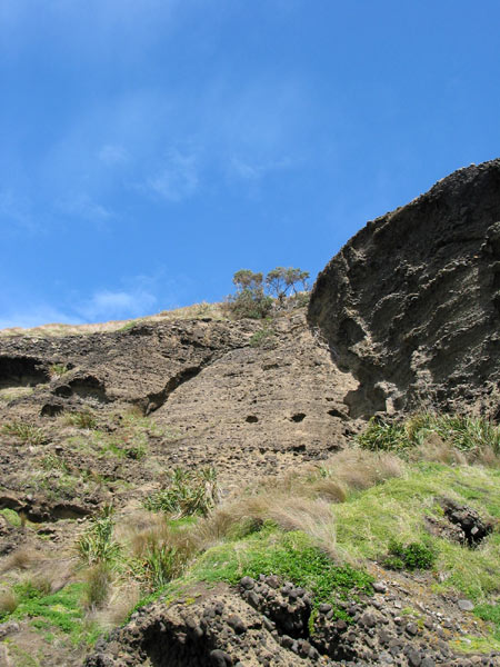 Окленд, Новая Зеландия (Auckland, New Zealand)