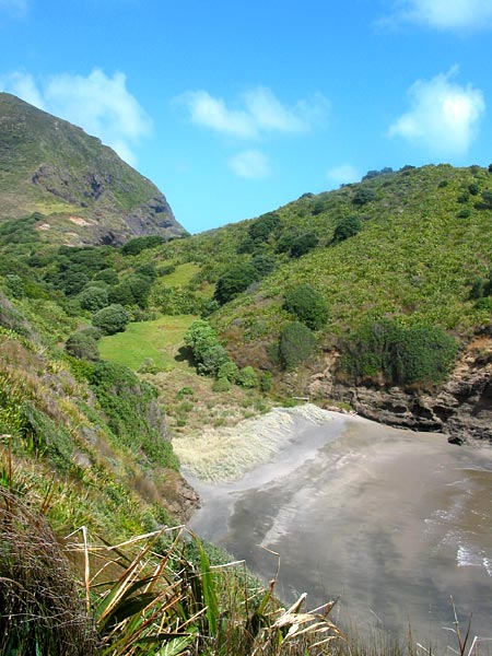 Окленд, Новая Зеландия (Auckland, New Zealand)