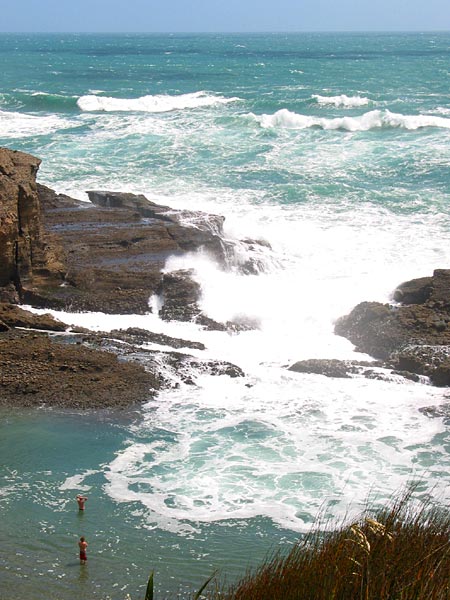 Окленд, Новая Зеландия (Auckland, New Zealand)