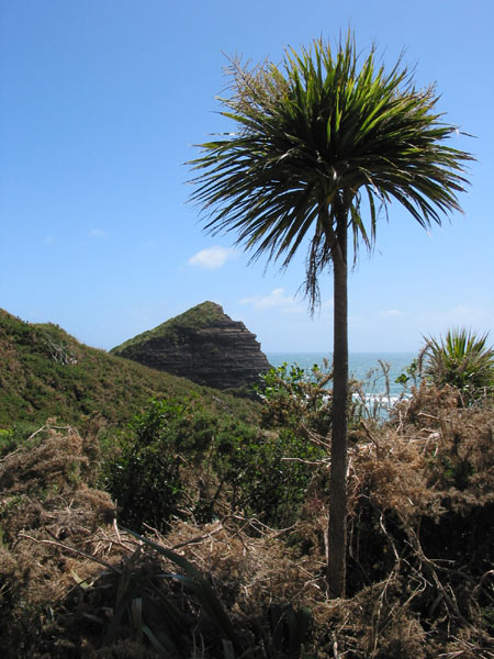 Окленд, Новая Зеландия (Auckland, New Zealand)
