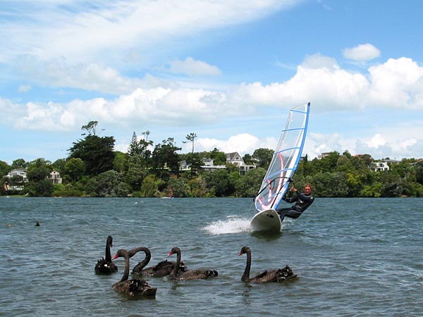 Окленд, Новая Зеландия (Auckland, New Zealand)