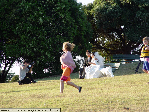 Свадьба, Lake Pupuke, Окленд, Новая Зеландия (Lake Pupuke, Auckland, New Zealand)