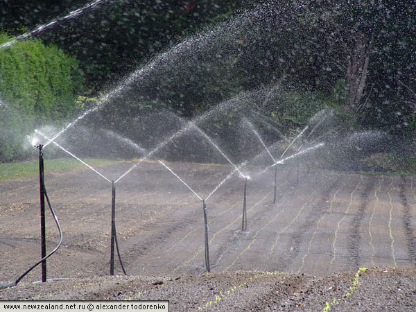 Поливка фермерских полей, Окленд, Новая Зеландия (Auckland, New Zealand)