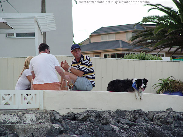 Дом на берегу моря, Milford Beach, Окленд, Новая Зеландия (Milford Beach, Auckland, New Zealand)