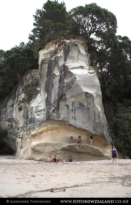 Новая Зеландия (New Zealand)