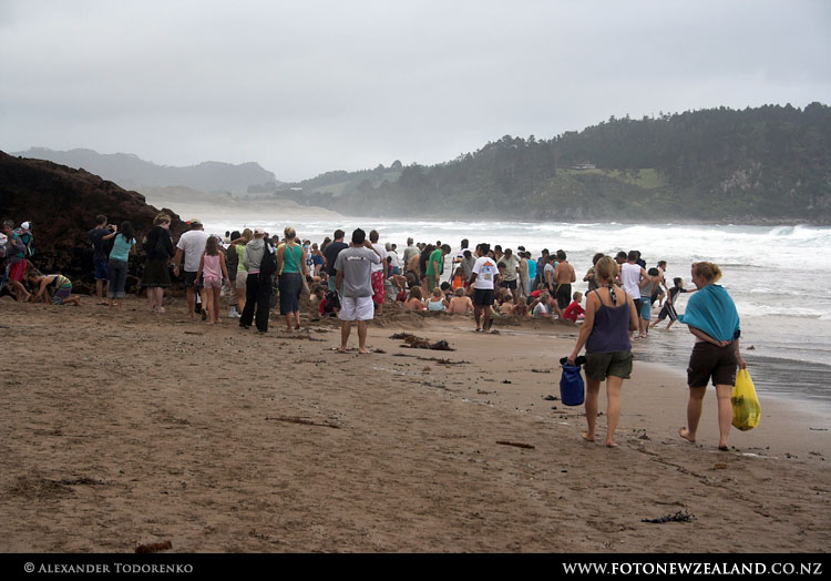 Hot Water Beach, Новая Зеландия (New Zealand)
