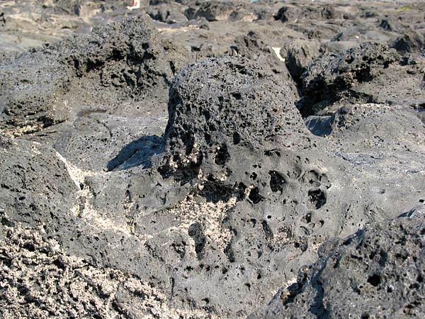 Вулканические скалы в Thorne Bay, Окленд, Новая Зеландия (Auckland, New Zealand)