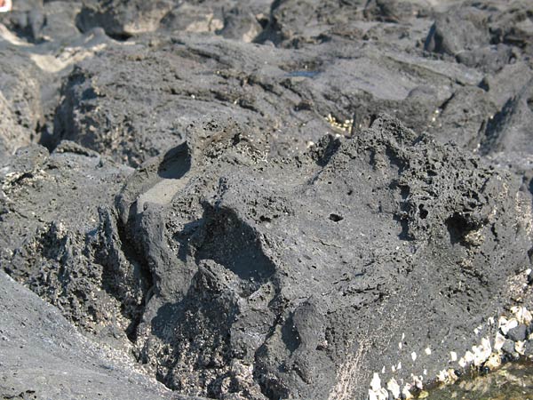 Застывшая лава, Окленд, Новая Зеландия (Auckland, New Zealand)