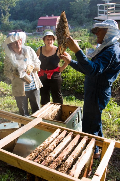 Пчеловод с рамкой возле улья